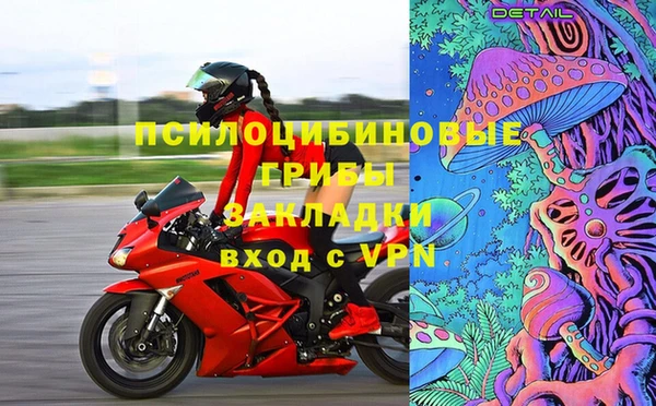 гашик Алзамай