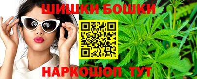 крисы Камень-на-Оби
