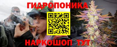 крисы Камень-на-Оби