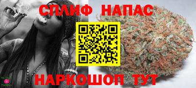 крисы Камень-на-Оби
