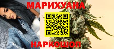 крисы Камень-на-Оби