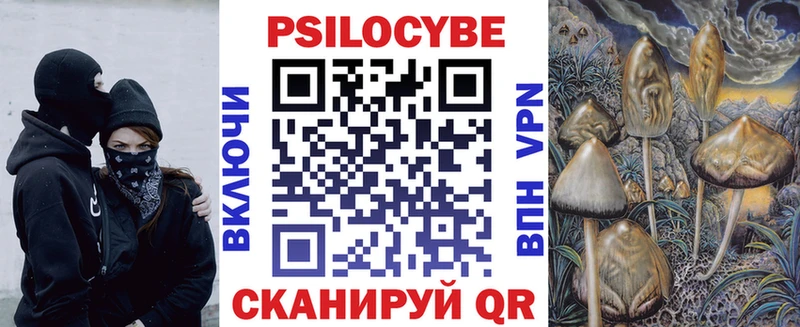 магазин продажи   ОМГ ОМГ ТОР  Псилоцибиновые грибы прущие грибы  Апатиты 