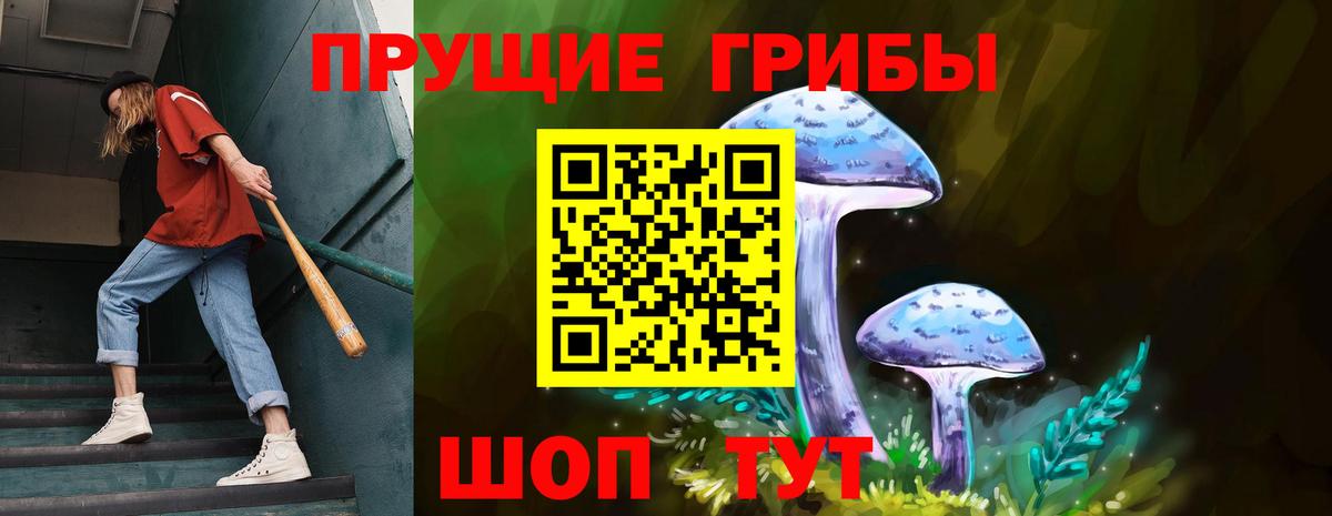 Галлюциногенные грибы мицелий Апатиты