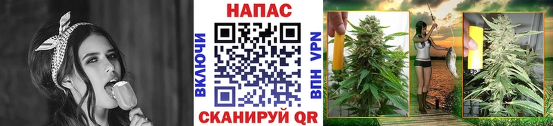 Бошки марихуана OG Kush Апатиты